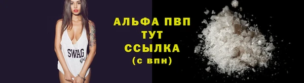 спиды Нея