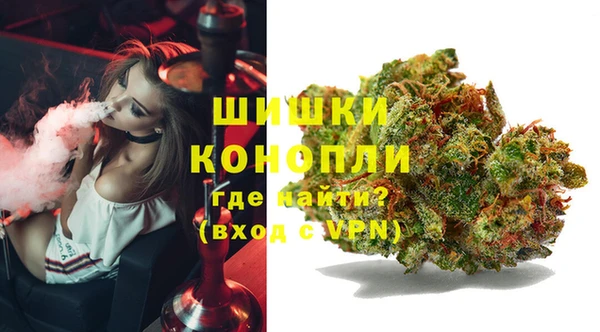 спиды Нея