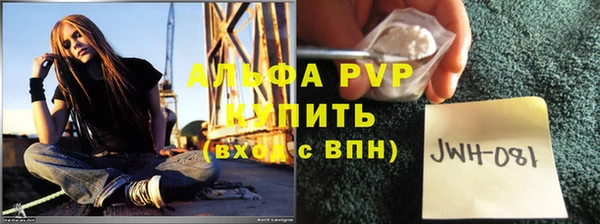 шишки Тобольск