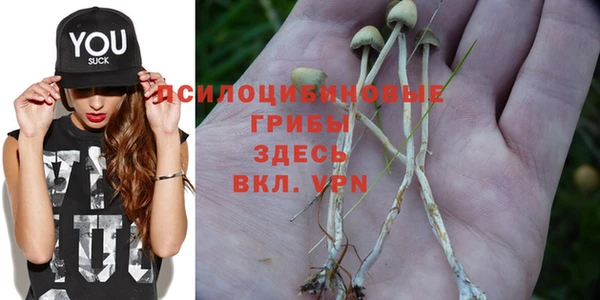 первитин Надым