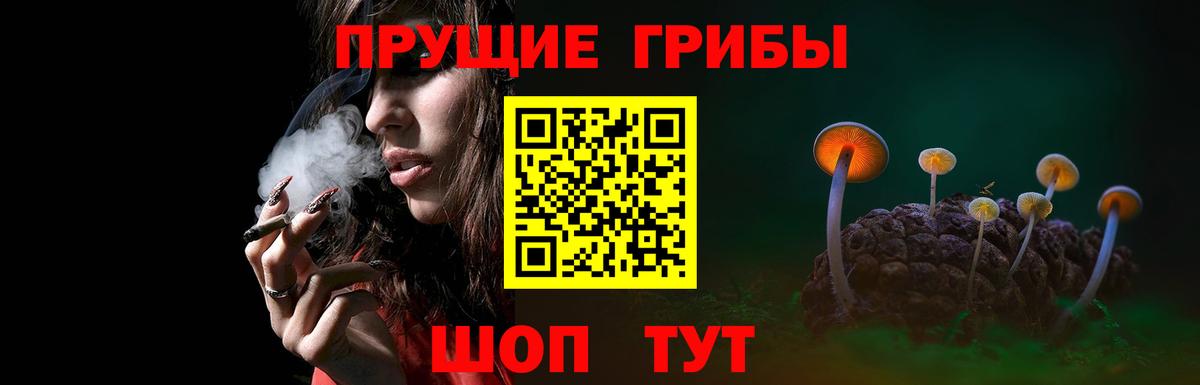 Ирбит  наркотики  Вход с VPN  Псилоцибиновые грибы мухоморы 