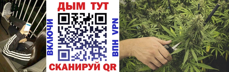 МАРИХУАНА гибрид  как найти закладки  Ирбит 